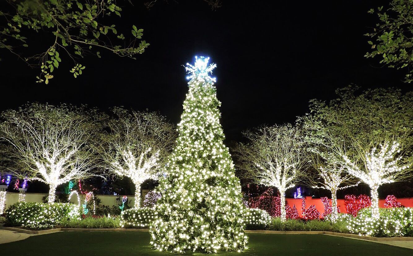 n-pc-holiday-lights-110719-3-HL.JPG